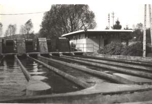 Oczyszczalnia ścieków "Pakosz" eksploatowana od 1937r. do 14.07.1974r.